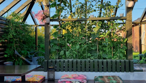 Bygga orangeri av gamla fönster Bygga orangeri av gamla fönster